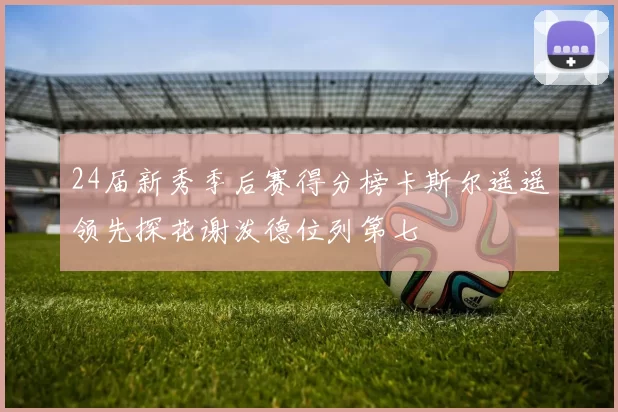 24届新秀季后赛得分榜卡斯尔遥遥领先探花谢泼德位列第七